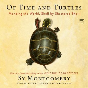 Download Of Time and Turtles: Mending the World, Shell by Shattered Shell by Sy Montgomery