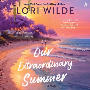 Our Extraordinary Summer: A Novel