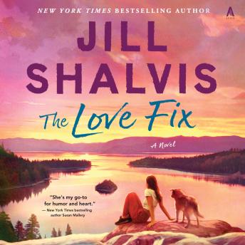 The Love Fix: A Novel