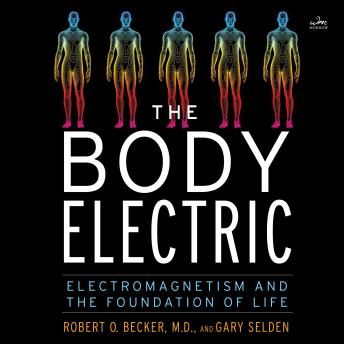 The Body Electric: Electromagnetism and the Foundation of Life