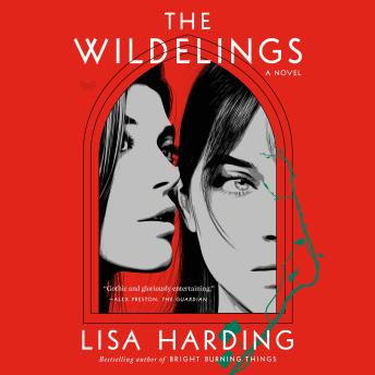 The Wildelings: A Novel