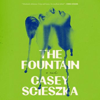 The Fountain: A Novel