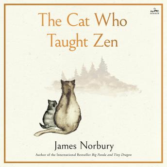 Download Cat Who Taught Zen by James Norbury