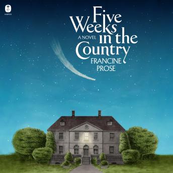 Five Weeks in the Country: A Novel