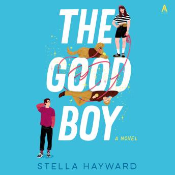 The Good Boy: A Novel