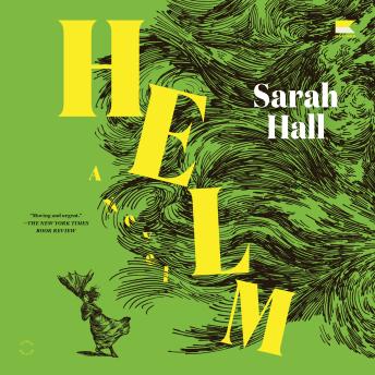 Helm: A Novel