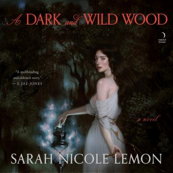 A Dark and Wild Wood: A Novel
