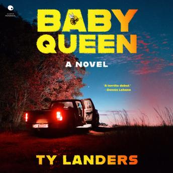 Baby Queen: A Novel