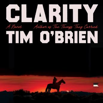 Clarity: A Novel