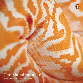 Mahabharata Vol 6, Audio book by Bibek Debroy