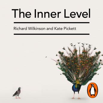 Download Inner Level: How More Equal Societies Reduce Stress, Restore Sanity and Improve Everyone's Well-being by Richard Wilkinson, Kate Pickett