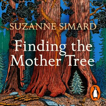 Download Finding the Mother Tree: Uncovering the Wisdom and Intelligence of the Forest by Suzanne Simard