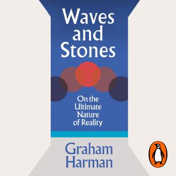Waves and Stones: On the Ultimate Nature of Reality
