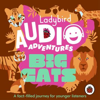 Ladybird Audio Adventures: Big Cats