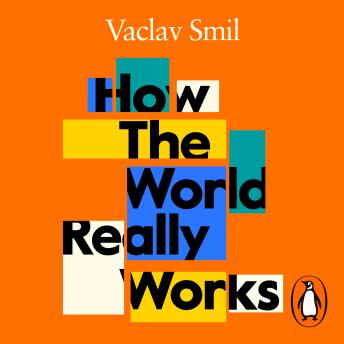 Download How the World Really Works: A Scientist’s Guide to Our Past, Present and Future by Vaclav Smil