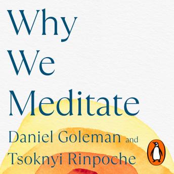 Download Why We Meditate: 7 Simple Practices for a Calmer Mind by Daniel Goleman, Tsoknyi Rinpoche