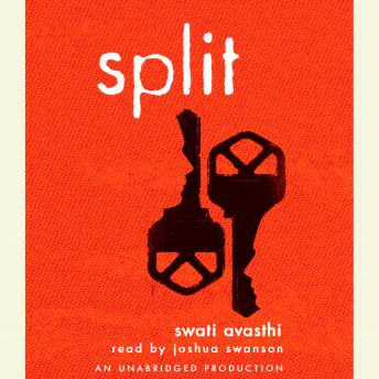 Download Split by Swati Avasthi