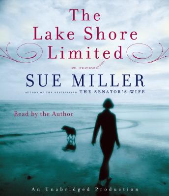 Lake Shore Limited, Sue Miller