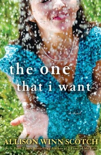 The One That I Want: A Novel