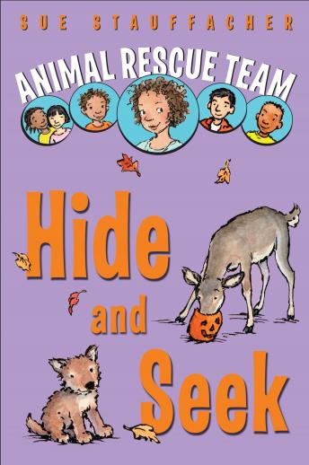Animal Rescue Team: Hide and Seek: Book 3, Sue Stauffacher