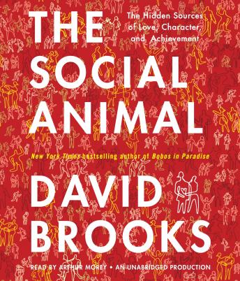 Social Animal: The Hidden Sources of Love, Character, and Achievement, David Brooks