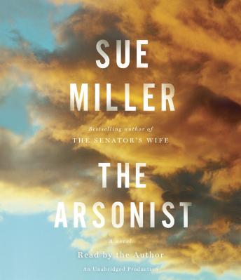 The Arsonist: A Novel