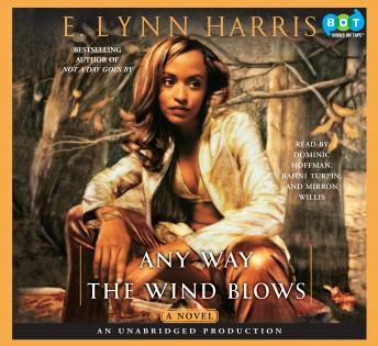 Any Way the Wind Blows: A Novel, E. Lynn Harris