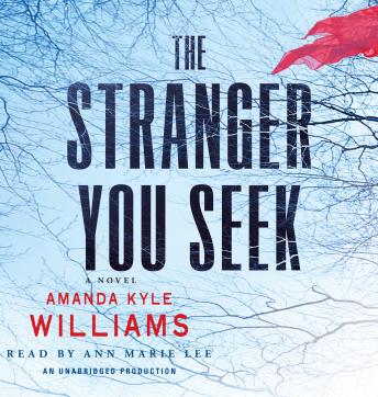 Stranger You Seek: A Novel, Amanda Kyle Williams