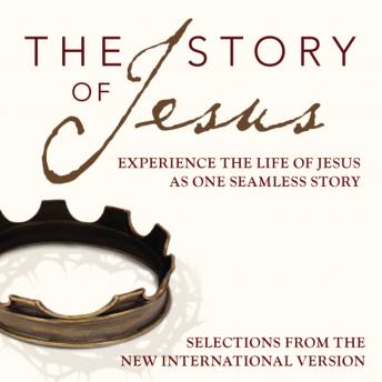 Story Audio Bible - New International Version, NIV: The Story of Jesus: Experience the Life of Jesus as One Seamless Story sample.
