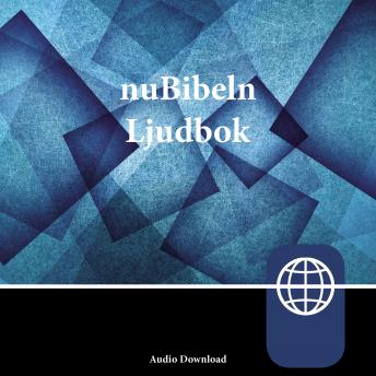 [Swedish] - Zondervan nuBibeln, Audio Download