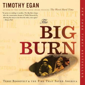 Download Big Burn: Teddy Roosevelt and the Fire that Saved America by Timothy Egan