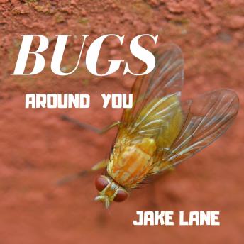 Bugs Around You