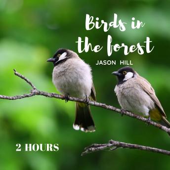 Birds in the Forest