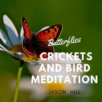 Butterflies Crickets and Bird Meditation
