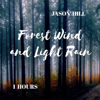Forest Wind and Light Rain