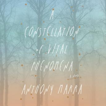 A Constellation of Vital Phenomena: A Novel