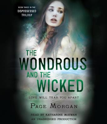 Wondrous and the Wicked, Audio book by Page Morgan