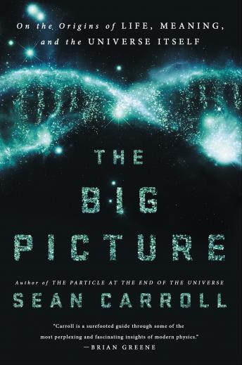 Big Picture: On the Origins of Life, Meaning, and the Universe Itself, Sean Carroll