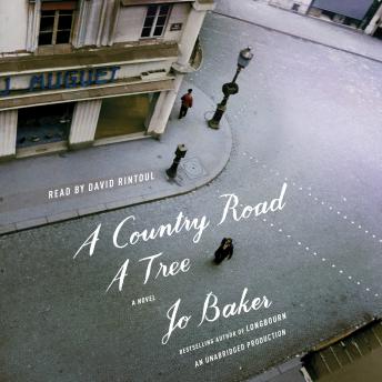 A Country Road, A Tree: A Novel