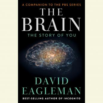 The Brain: The Story of You