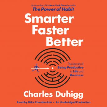 Smarter Faster Better: The Secrets of Being Productive in Life and Business sample.