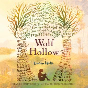 Listen Wolf Hollow By Lauren Wolk Audiobook audiobook