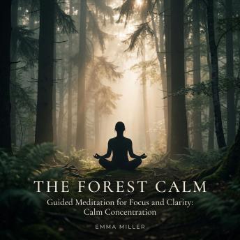 The Forest Calm – Guided Meditation for Focus and Clarity - Calm Concentration
