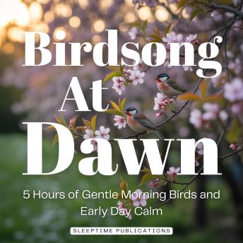 Birdsong at Dawn Sleep Sounds: 5 Hours of Gentle Morning Birds and Early Day Calm