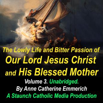The Lowly Life and Bitter Passion of Our Lord Jesus Christ and His Blessed Mother: Together with the Mysteries of the Old Testament from the Visions of Blessed Anne Catherine Emmerich