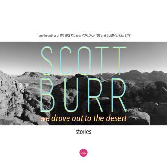 We Drove Out to the Desert: Stories