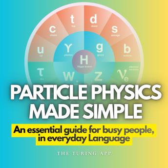 Particle Physics Made Simple: An essential guide for busy people, in everyday Language
