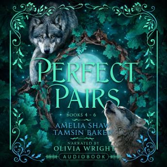 Perfect Pairs: Books 4 - 6