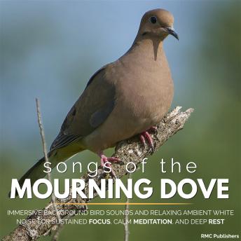 Songs of the Mourning Dove: Immersive Background Bird Sounds and Relaxing Ambient White Noise for Sustained Focus, Calm Meditation, and Deep Rest