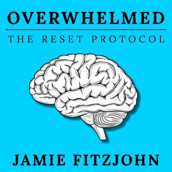 Feeling Overwhelmed: The Reset Protocol